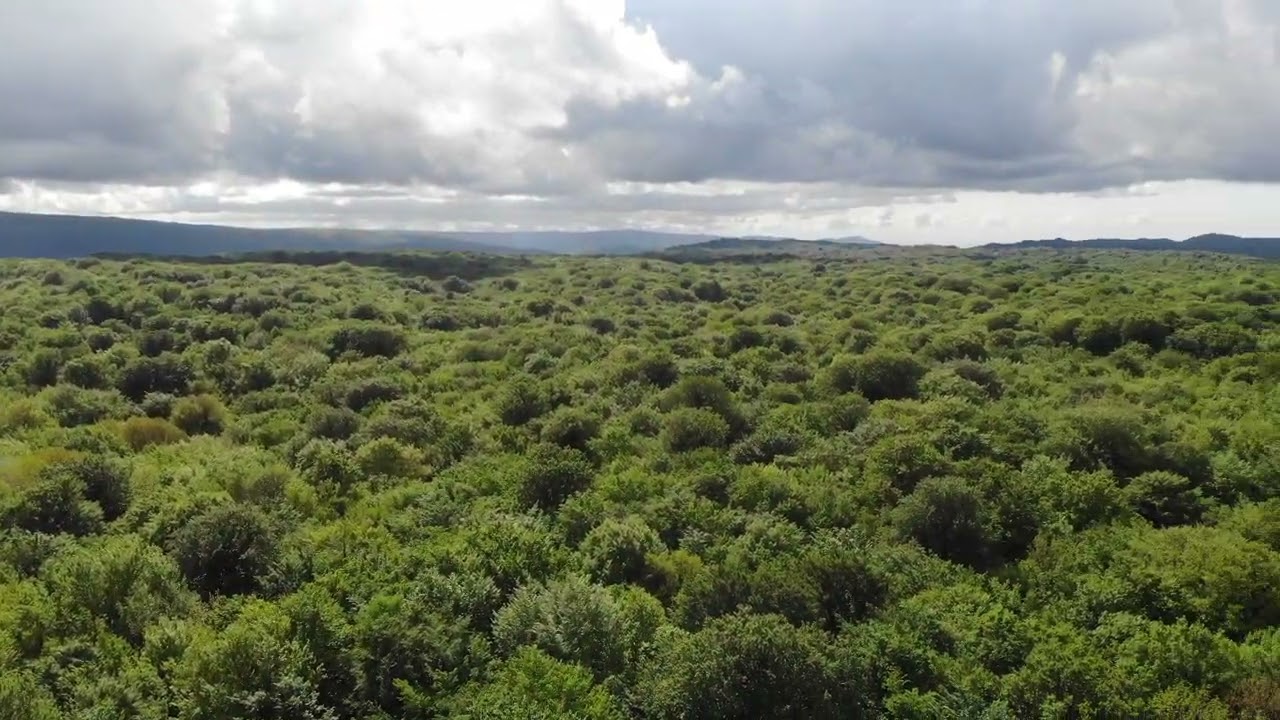 Cantoniera primavera