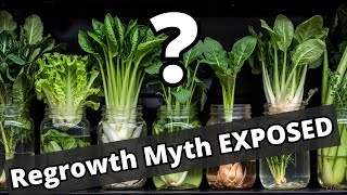 What Really Happens When You Regrow Grocery Store Veggies