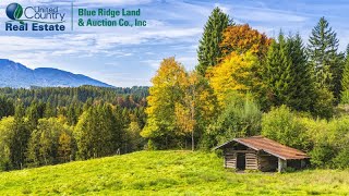 BLUE RIDGE LAND & AUCTION