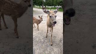 This Was My First Meeting With Them