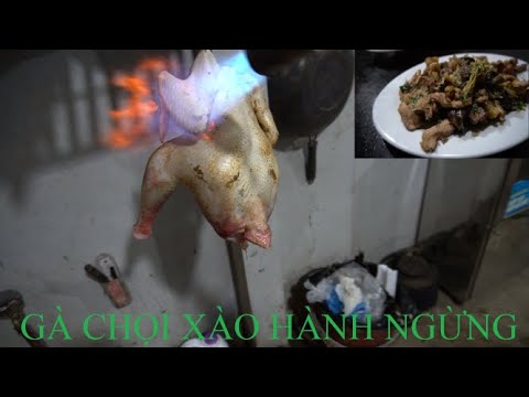 các món gà chọi Update MÓN GÀ CHỌI XÀO HÀNH NGỪNG | ẨM THỰC VUA GÀ