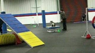 OCKC March 14th Agility