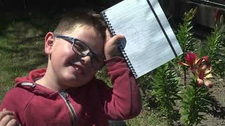 Kid Experiments: Explorers Kit | English | Darwin and Newts