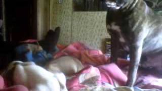 VID 00012 20110324 1609