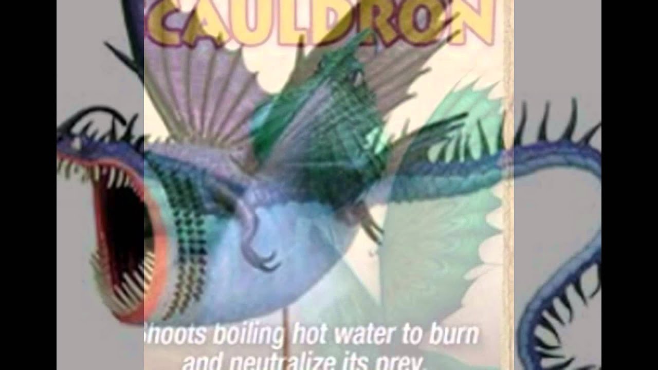 Libro De Dragones De Berk Completo 2 S J Youtube