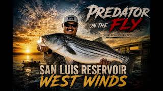SONG: SAN LUIS RESERVOIR WEST WINDS