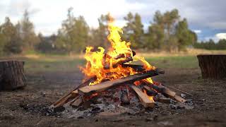 Serenity in the Flames - Country Fire - White Noise