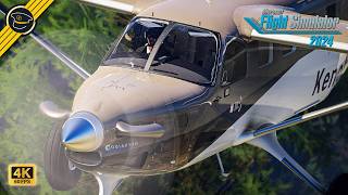 Kodiak 100 NATIVE 2024 version by SimWorks Studios | MSFS 2024
