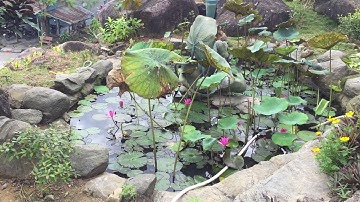 Mẹ Quan Âm đứng giữa núi Cấm