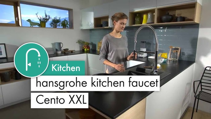 Hansgrohe Cento Single Hole Kitchen