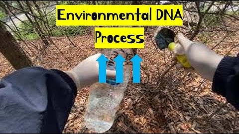 [Full video] Environmental DNA(how to DNA monitoring)