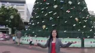 Hamilton Christmas tree 🎄