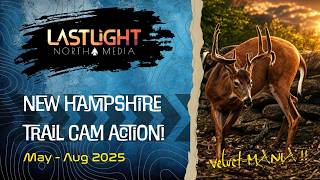 YOU DON'T WANT TO MISS THIS ONE! New Hampshire Wildlife Cams: May - Aug. 2025