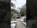 ASMR Hiking in China’s Snow-Capped Bamboo Forest: Trail & Birdsong. #asmr #birdsounds #bambooforest