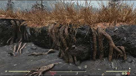 Cranberry Bog Scene Random Encounter Hotspot #06 - Fallout 76