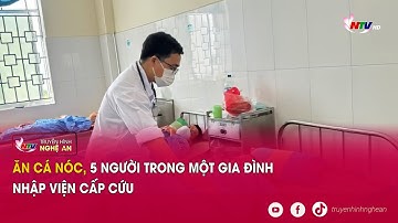 Ăn cá nóc, 5 người trong một gia đình nhập viện cấp cứu