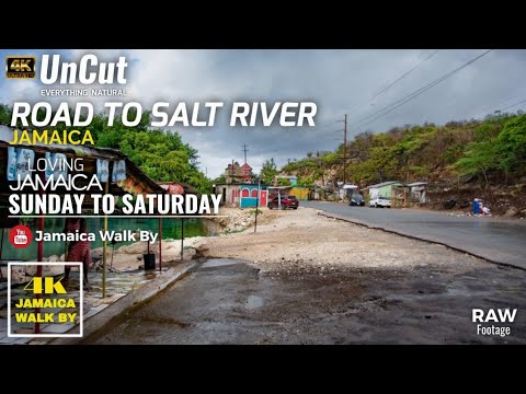 Driving To Salt River Mineral Jamaica From Free Town Clarendon || 2021