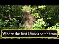 Where the first Druids came from