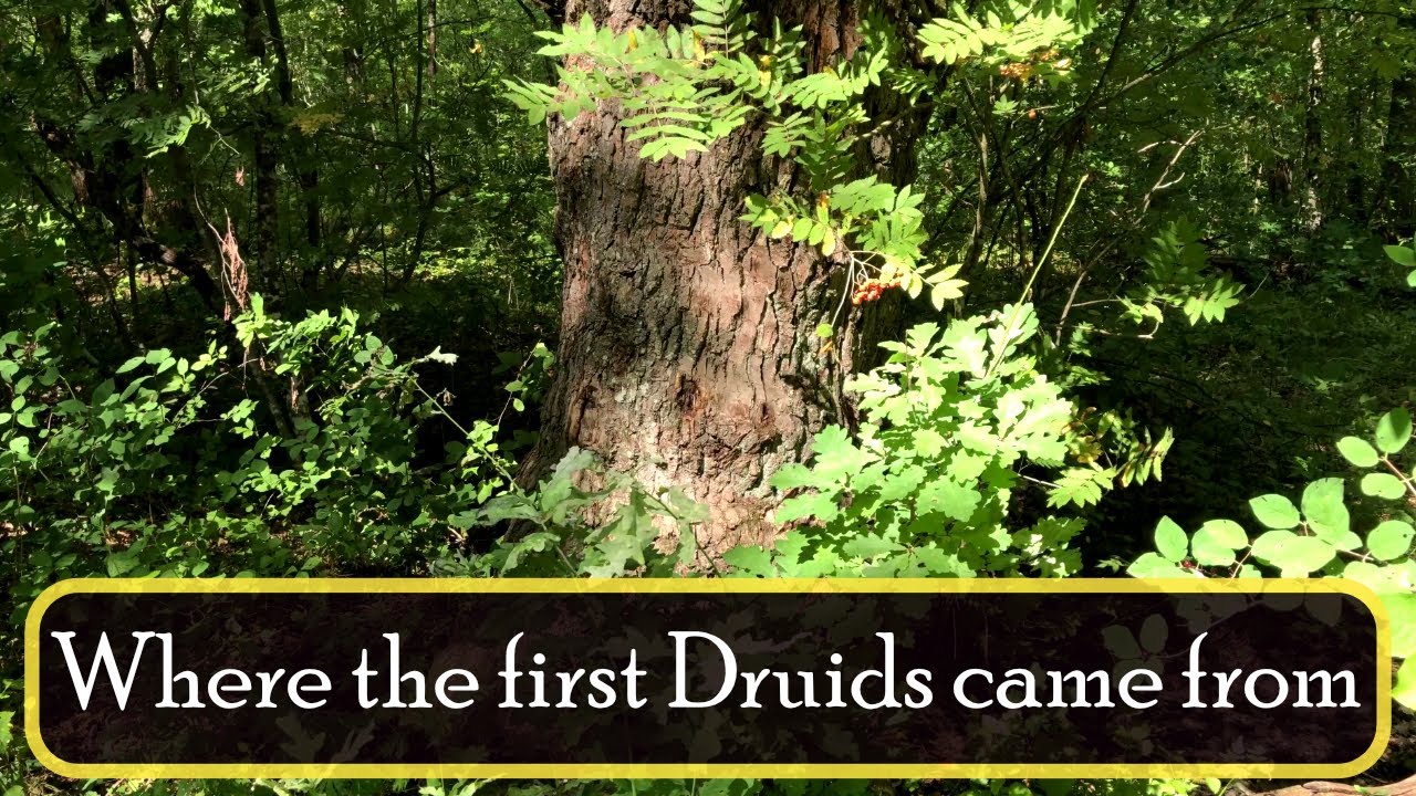 Where the first Druids came from