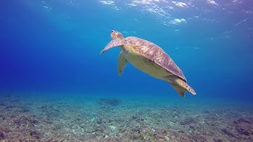 مؤيد المزين| - ماتيسر من سورة ابراهيم |