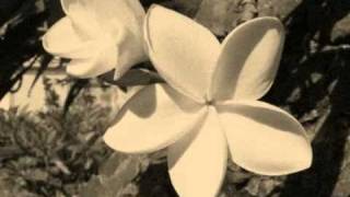 Ti Fleur Fanée (Original) - SÉGA LONTAN 974 chords