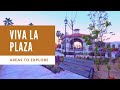 Areas To Explore Viva La Plaza In Cabo San Lucas Areas To Explore Viva La Plaza In Cabo San Lucas
