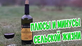 Плюсы и минусы сельской жизни. И Массандра :)