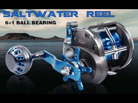 best spincast fishing reel Spincast Reel for Lure Fishing&Archery|7kg Drag,6+1BB,3.9:1 Gear Ratio Silver&Blue / SY770 / Interchangeably