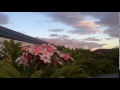 test delete