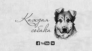 Every dog/&quot;Каждая собака&quot;, фильм с субтитрами