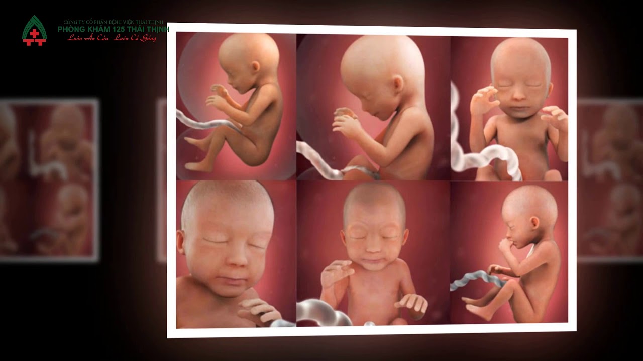 Phòng khám Đa khoa 125 Thái Thịnh - Những mốc siêu âm thai quan trọng mẹ cần biết