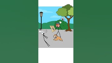 Thief puzzle level 176