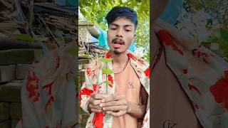 Gegagedigedagedago Funny Video