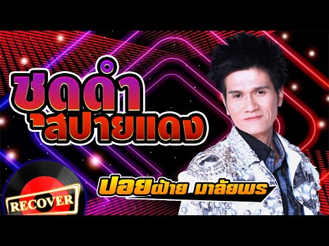 ชุดดำสปายแดง - ปอยฝ้าย มาลัยพร [OFFICIAL Audio]