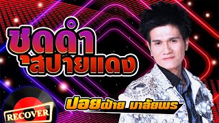 ชุดดำสปายแดง - ปอยฝ้าย มาลัยพร [OFFICIAL Audio]