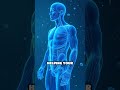How Hydration Powers Your Lymphatic System