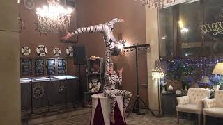 Tiger Show Moscow (фрагмент с работы)