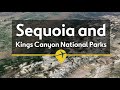 セコイア & キングス キャニオン国立公園旅行ガイド | エクスペディア