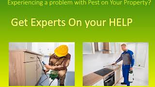 23 Olive Branch Pest Control