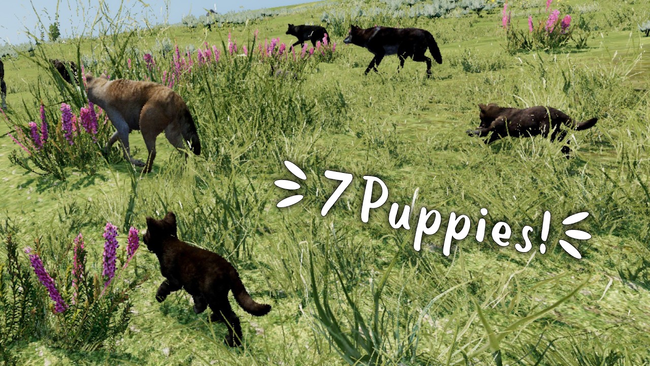 Raising 7 Wolf Pups Is CHAOS… Sickness, Fleas & Survival 💔 | WolfQuest Saga #39