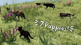 Raising 7 Wolf Pups Is CHAOS… Sickness, Fleas & Survival 💔 | WolfQuest Saga #39
