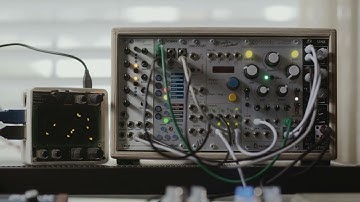 Mutable Instruments Beads || Acoustic Guitar || Monome Norns (Fall) || Novation Peak