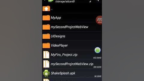 embed your webview to first project