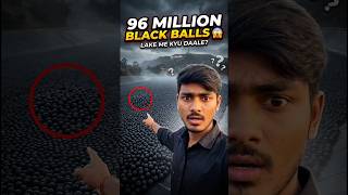 Why put 96 Million Black Balls in the lake? 😱 #shorts