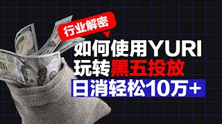 行业解密|如何使用Yuri玩转黑五投放，日消轻松10万 