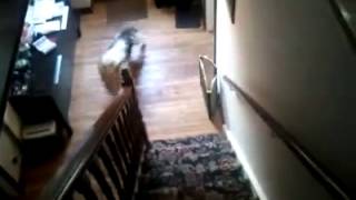 Hehe After Bath Dance