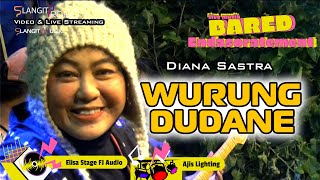 WURUNG DUDANE - DIANA SASTRA || LAGU TERBARU 2024