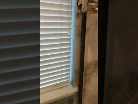 Shower Door Squeak You Shower Door Squeak