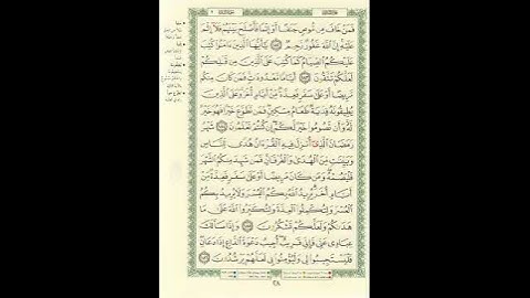المصحف المرتل برواية حفص عن عاصم الصفحة رقم 28  #القرآن_الكريم #المصحف