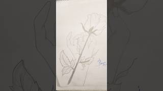 Beautiful Rose in Hand Drawing Tutorial | Easy Pencil Sketch Step by Step ✏️